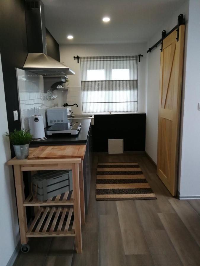 Apartament Studio Apartman Hana Drežnik Grad Zewnętrze zdjęcie
