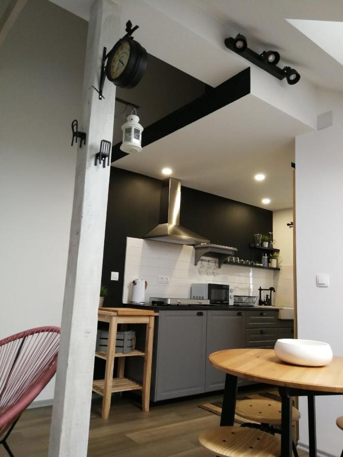 Apartament Studio Apartman Hana Drežnik Grad Zewnętrze zdjęcie