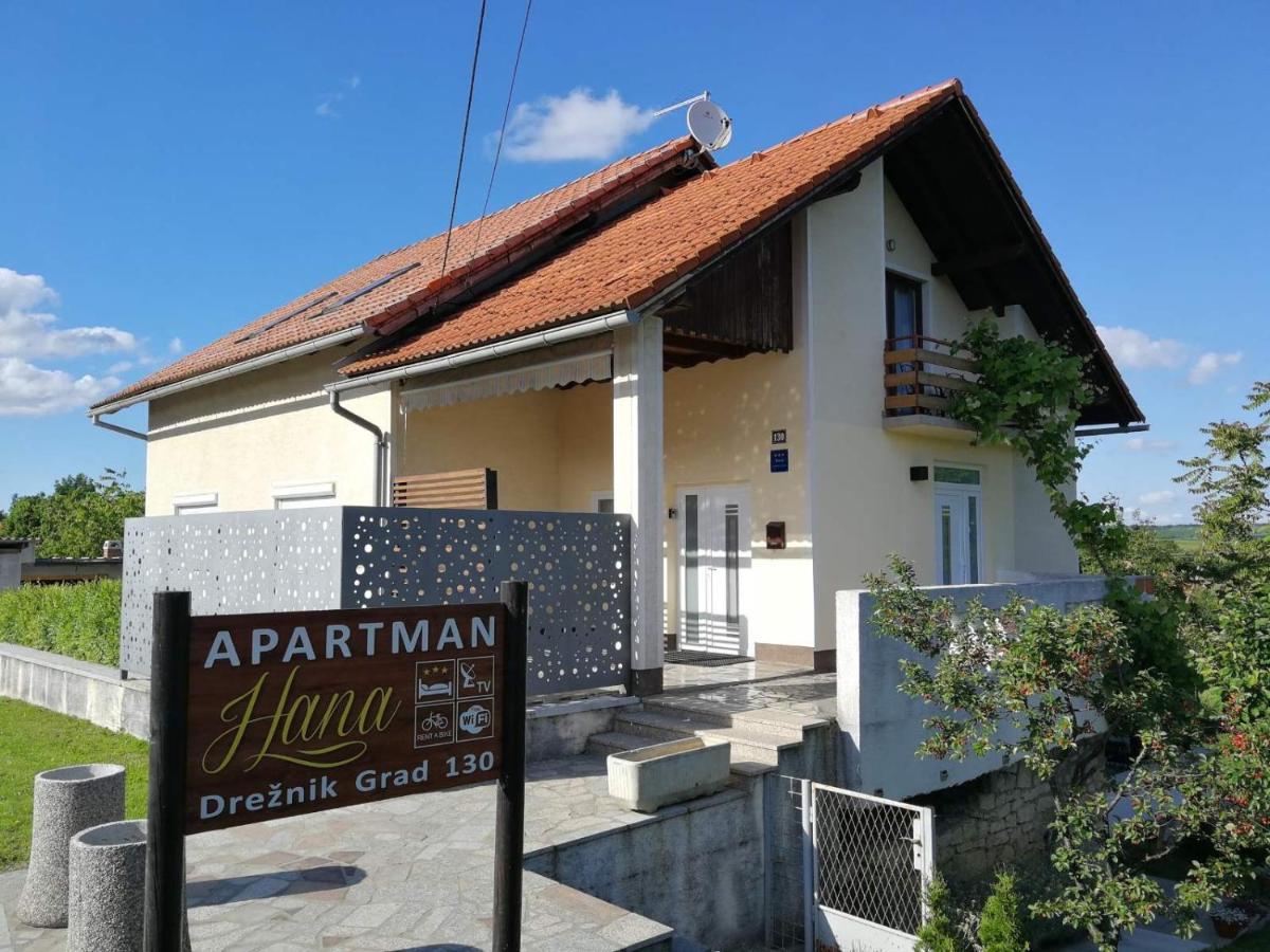 Apartament Studio Apartman Hana Drežnik Grad Zewnętrze zdjęcie