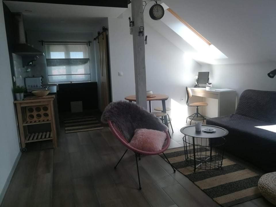 Apartament Studio Apartman Hana Drežnik Grad Zewnętrze zdjęcie