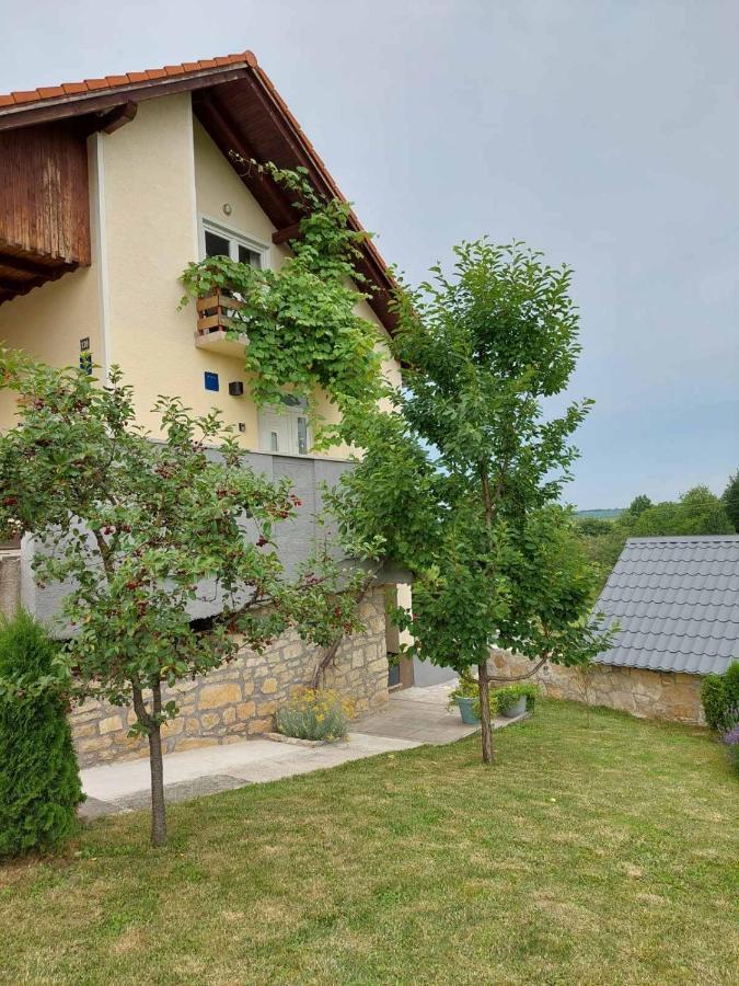 Apartament Studio Apartman Hana Drežnik Grad Zewnętrze zdjęcie